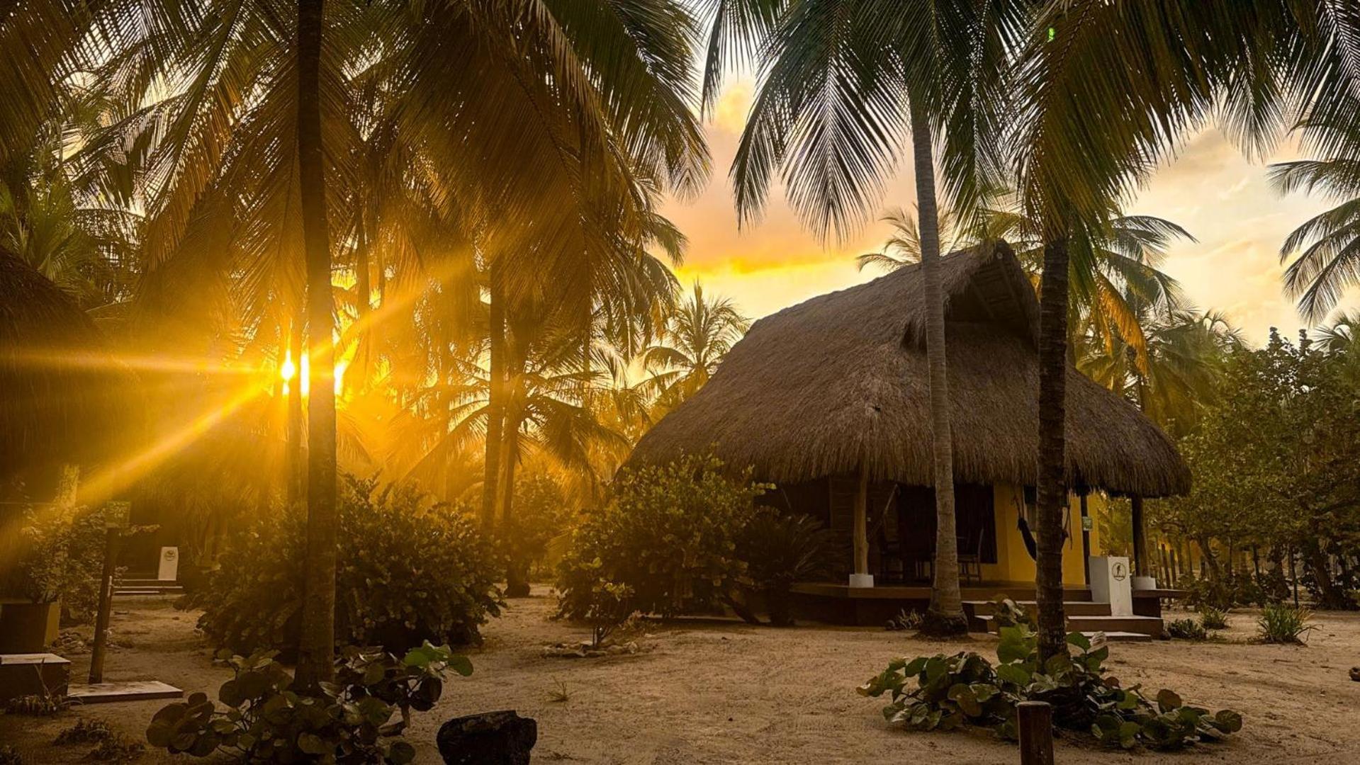 Aite Eco Resort Palomino Bagian luar foto