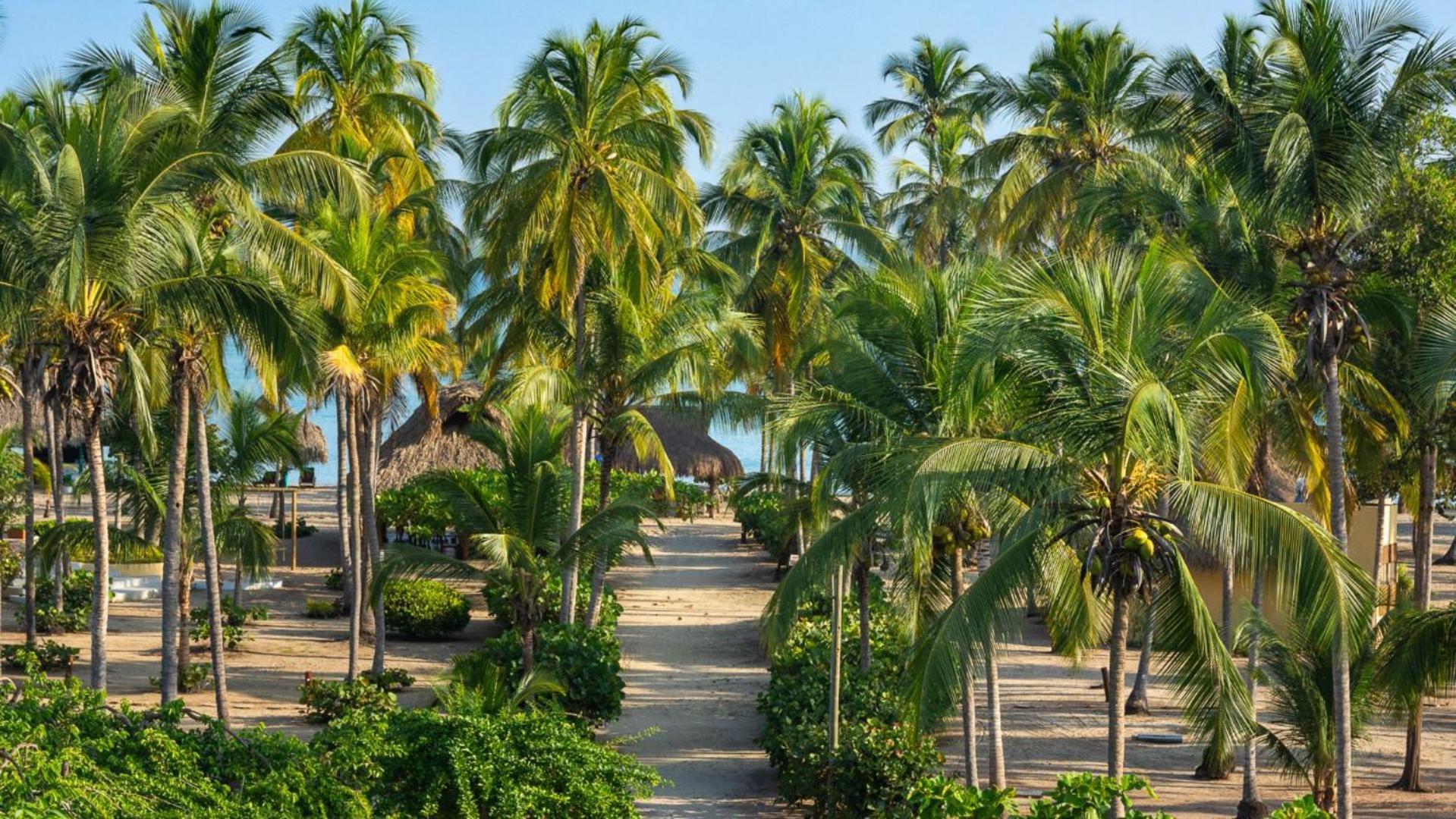 Aite Eco Resort Palomino Bagian luar foto